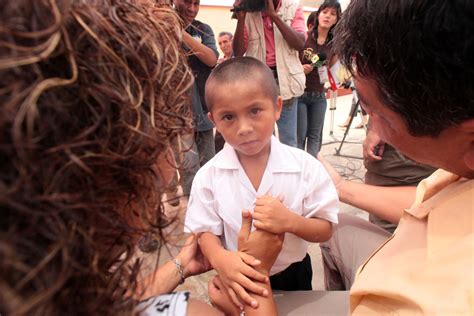 puedo adoptar siendo soltero|Hombres y mujeres solteros también pueden adoptar a un niño,。